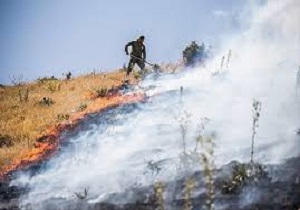وقوع 80 مورد آتش سوزی در آبیدر سنندج طی سال گذشته