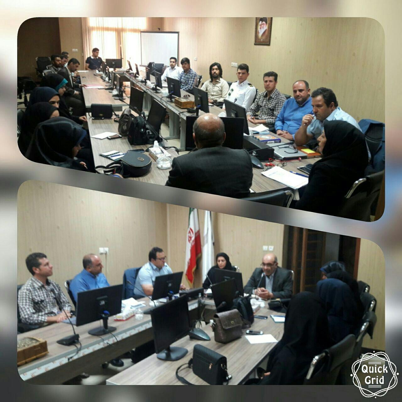 ورزشکار کرمانی، دبیر شورای عالی تعامل دانشگاه های کرمان شد