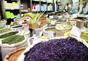 مرکز مطالعات و تحقیقات گیاهان دارویی در گرمی راه اندازی می شود
