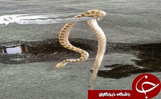 نگاهی به پر بیننده ترین اخبار روز گذشته در سمنان