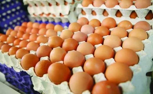 نگاهی به پر بیننده ترین اخبار روز گذشته در سمنان