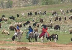 تأخیر در کوچ عشایر به علت سرمای بهاره