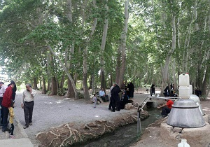 سومین جشواره گلاب گیری باغ پهلوانپور مهریز
