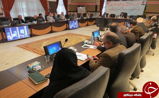 پرداخت نیمی از سود تسهیلات صادراتی مرغداران