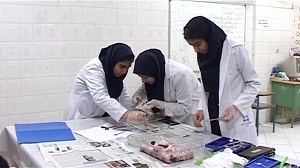 رقابت 180 دانش آموز در مسابقات آزمایشگاهی استان
