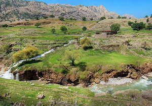 پیش بینی بارش پراکنده باران و وزش باد ۱۳۹۶/۰۲/۰۷