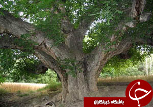 نگاهی گذرا به مهمترین رویدادهای 7 اردیبهشت در مازندران