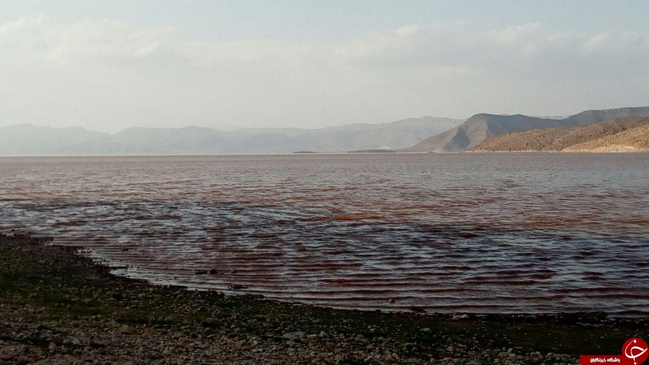 دریاچه زیبای &laquo;مهارلو&raquo; در سروستان + تصاویر