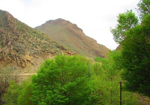 طبیعت زیبای بهاری در سمیرم + تصاویر