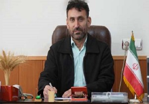 آغاز برداشت کلزا و چغندرقند در اندیمشک