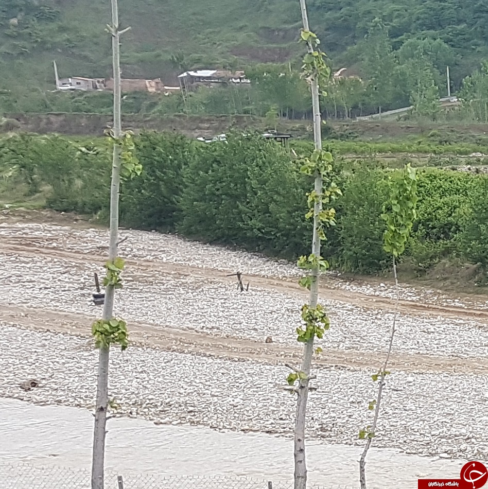 برداشت غیر مجاز شن از کف رودخانه + تصاویر