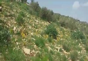 نمایی زیبا از جاذبه‌های گردشگری ایران + فیلم