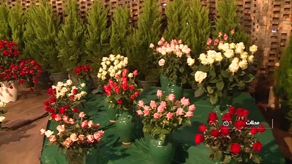 افزایش 50 درصدی بازدیدکنندگان از نمایشگاه  بین المللی  گل  محلات+تصاویر زیبا
