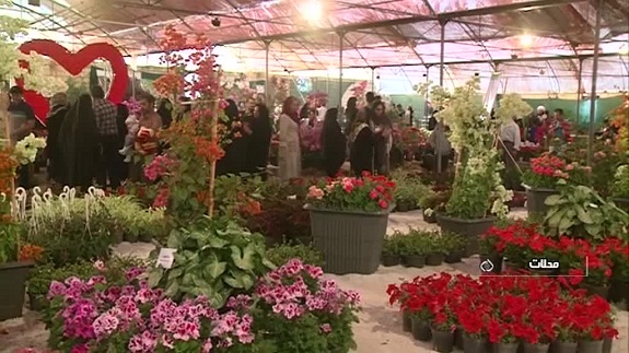 افزایش 50 درصدی بازدیدکنندگان از نمایشگاه  بین المللی  گل  محلات+تصاویر زیبا