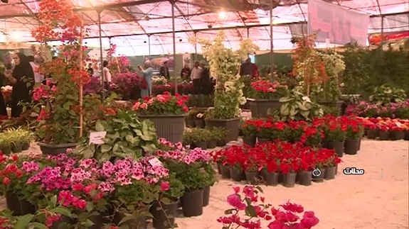 افزایش 50 درصدی بازدیدکنندگان از نمایشگاه  بین المللی  گل  محلات+تصاویر زیبا