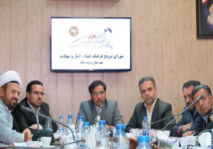 سیاسی کاری مسئولان جامعه ایثارگران را رنج می‌دهد