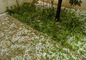وضعیت خیابان‌های «زندی» بعد از بارش تگرگ + تصاویر