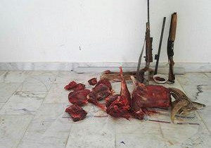 دستگیری دو شکارچی غیر مجاز