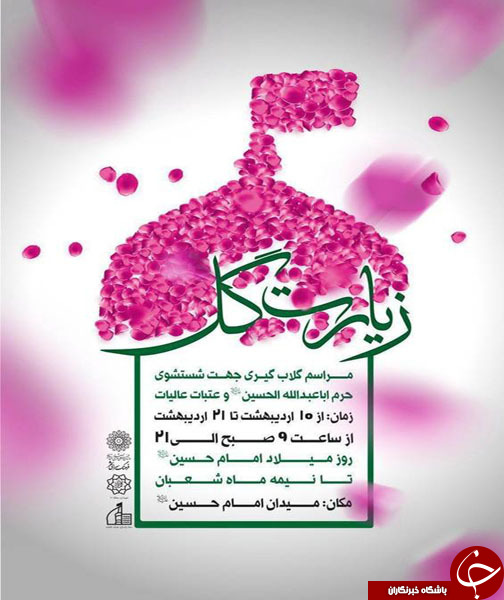آئین گلاب&zwnj;گیری جهت تأمین گلاب شستشوی حرم مطهر امام حسین(ع)