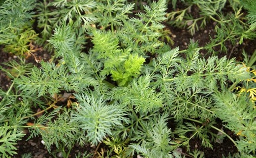 نگاهی به پر بیننده ترین اخبار روز گذشته در سمنان