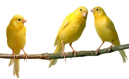 نگاهی به پر بیننده ترین اخبار روز گذشته در سمنان