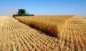 داشتن استعداد یک نعمت الهی