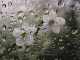 بارش رگباری باران مهمترین پدیده جوی گیلان