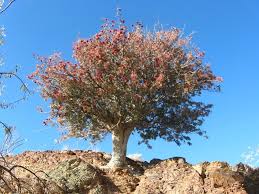 روستای دره ای کهن با موقعیت کوهستانی
