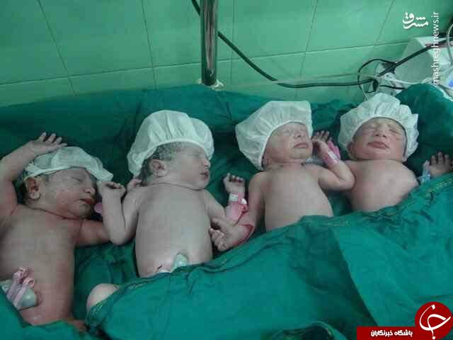 چهار قلوهای تازه متولد شده در قم