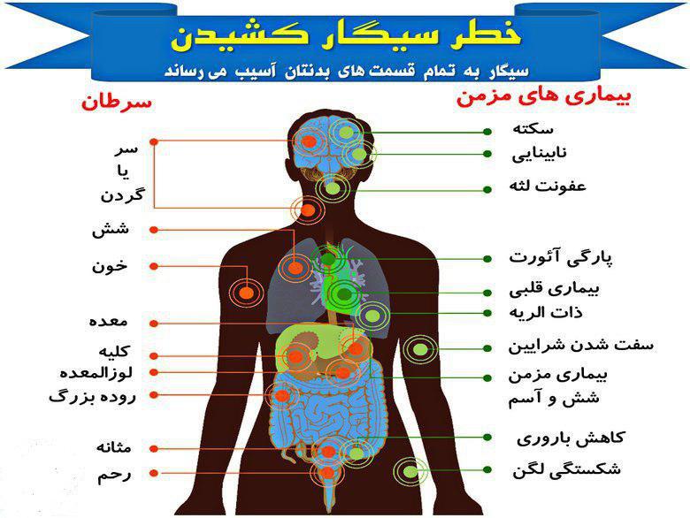زندگی به سبک سیگار +اینفو گرافی