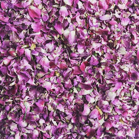 قوی ترین دمنوش ها برای آرامش اعصاب/ با نوشیدن این دمنوش ها نمره20 به اعصابتان بدهید