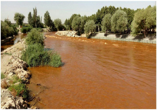 زاینده رود دلش خون شد