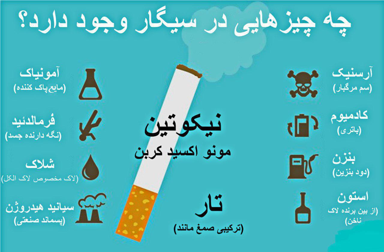 زندگی به سبک سیگار +اینفو گرافی