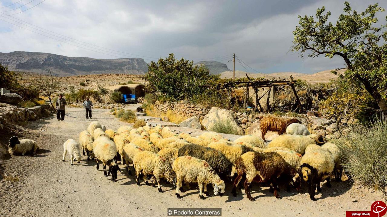 آخرین غارنشین&zwnj;های ایران در روستای باستانی میمند+ تصاویر