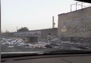 پربازذید