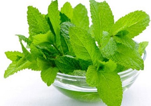 عرق نعنا و این همه خاصیت؟!