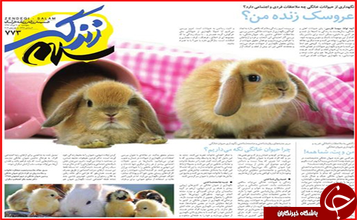 از خبرهای داغ در نشست اژه ای تا ترکیب و تغییرات در هیات رئیسه مجلس