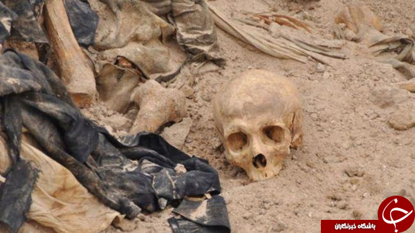 عاقبت وکلای زنی که به چنگال داعش افتادند