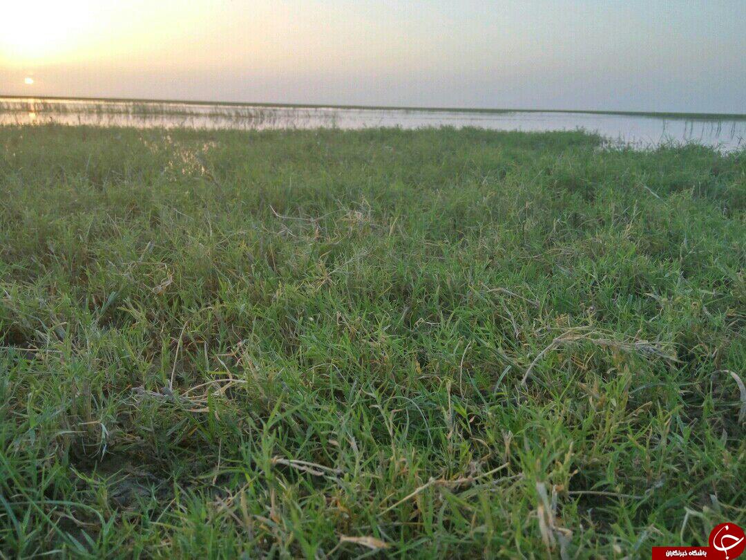 طبیعت زیبای منطقه کوه خواجه + تصاویر