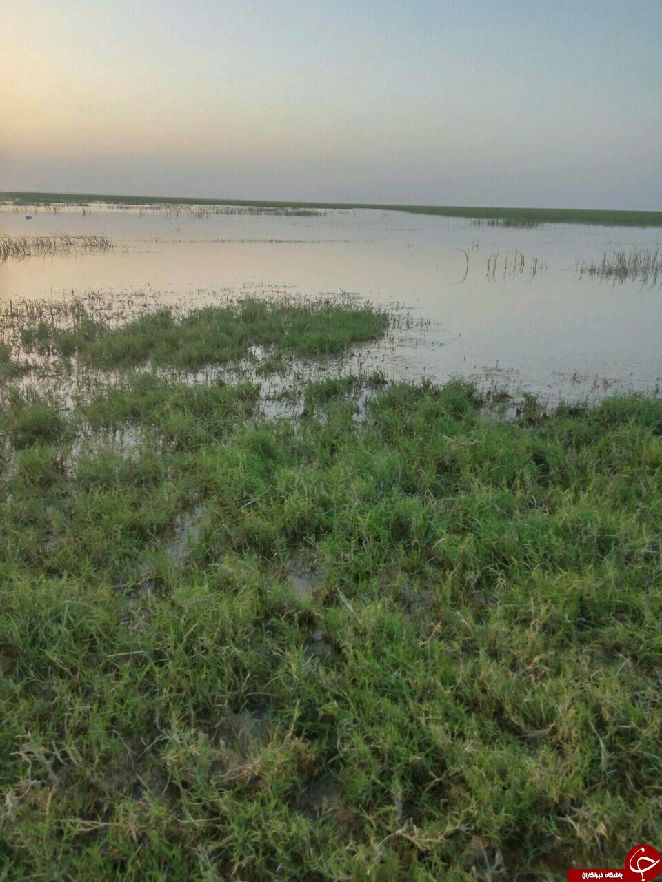 طبیعت زیبای منطقه کوه خواجه + تصاویر