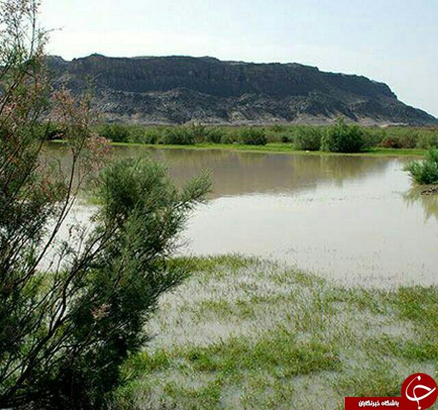 طبیعت زیبای منطقه کوه خواجه + تصاویر