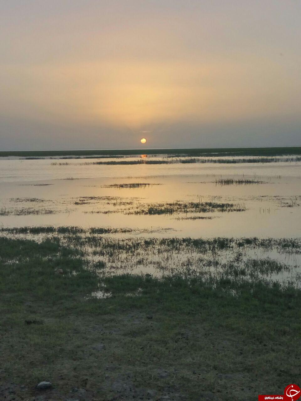 غروب دل انگیز خورشید در قاب تصویر