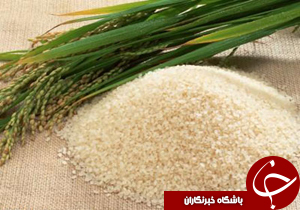 نگاهی گذرا به مهمترین رویدادهای 11 خرداد در مازندران