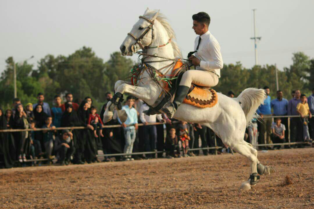 برگزاری جشنواره اسبان بومی فلات ایران در سیرجان