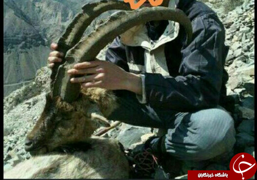 دستگیری شکارچیان حرفه ای در آمل