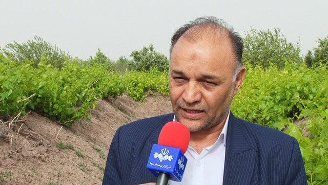 آغاز جمع آوری زکات همزمان با برداشت محصولات کشاورزی درکشور
