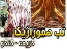 تکذیب بستری بیمار مشکوک به تب کریمه کنگو در بیمارستان قم