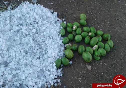 باران و تگرگ شدید تعجب تبریزی ها را برانگیخت / آبگرفتگی برخی معابر