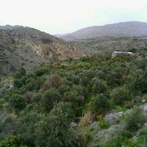 دردسک روستایی خوش آب و هوا در دل کوهستان