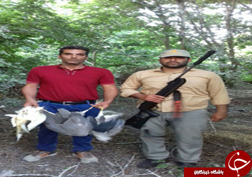 دستگیری 7 شکارچی غیرمجاز در مازندران+ تصاویر